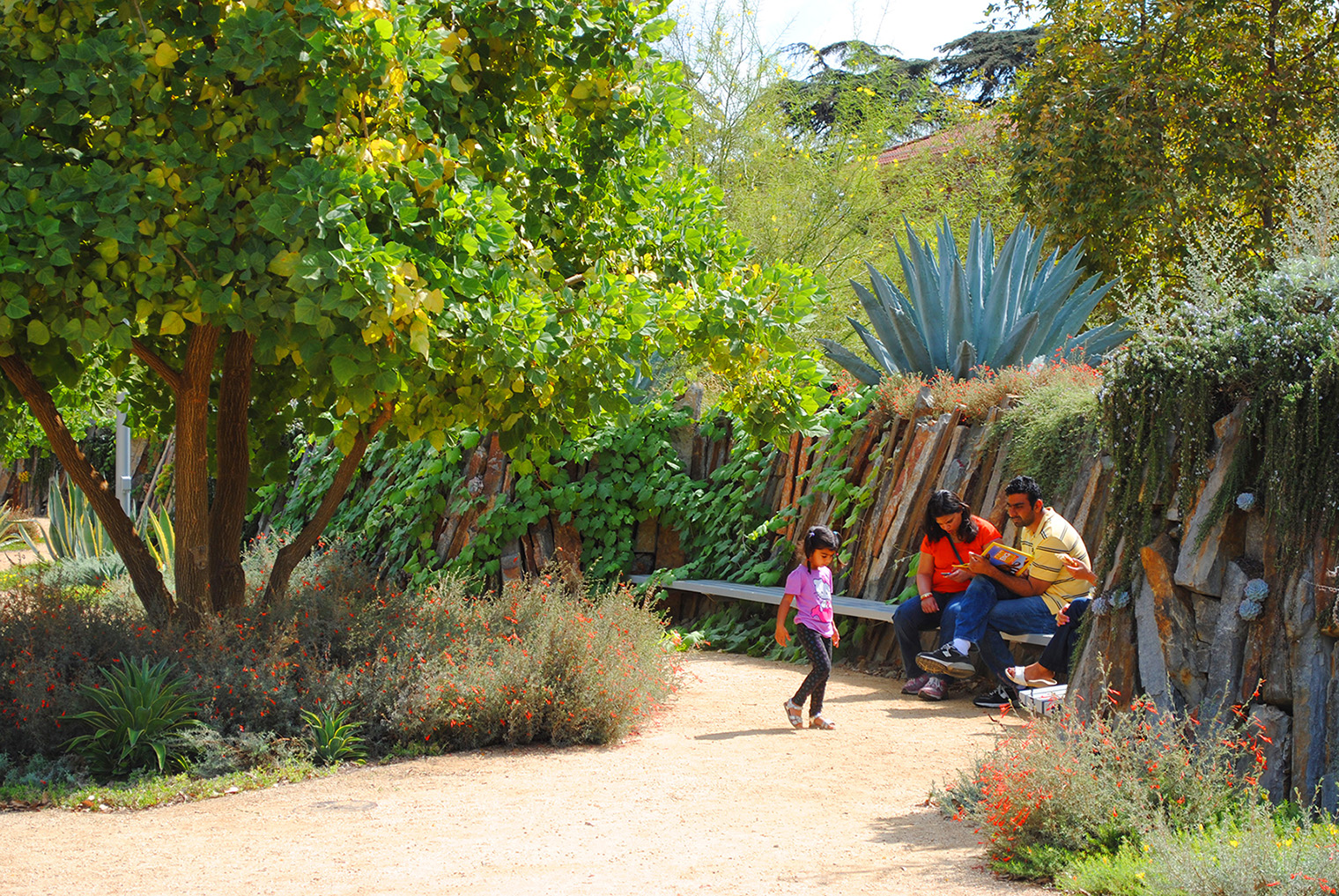 family sitting on a bench along a path in a lush park